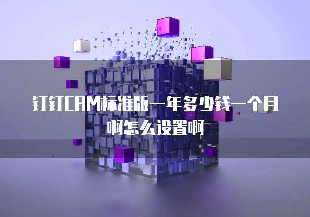 钉钉CRM标准版一年多少钱一个月啊怎么设置啊