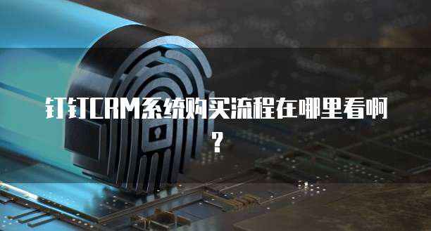 钉钉CRM系统购买流程在哪里看啊?