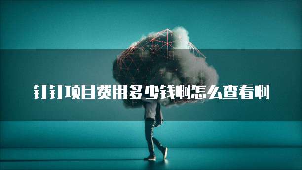 钉钉项目费用多少钱啊怎么查看啊
