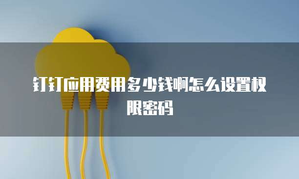 钉钉应用费用多少钱啊怎么设置权限密码