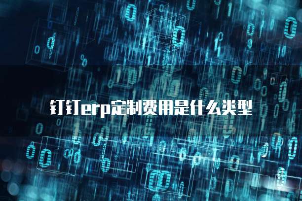 钉钉erp定制费用是什么类型