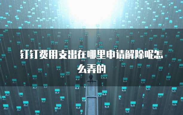 钉钉费用支出在哪里申请解除呢怎么弄的