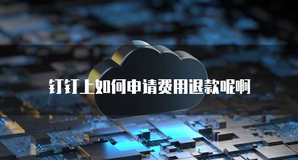 钉钉上如何申请费用退款呢啊