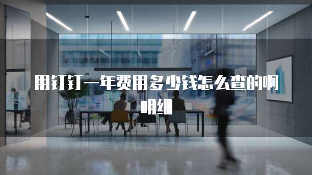 用钉钉一年费用多少钱怎么查的啊明细