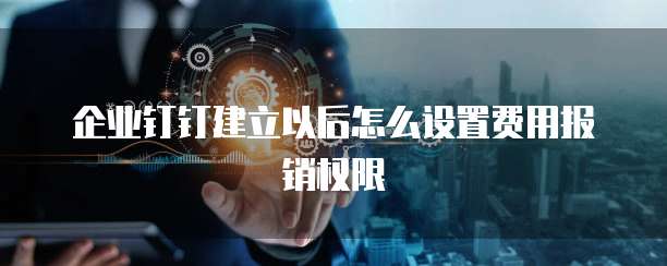 企业钉钉建立以后怎么设置费用报销权限