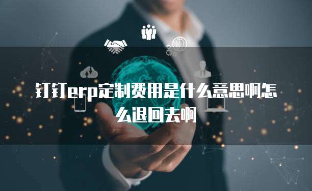 钉钉erp定制费用是什么意思啊怎么退回去啊
