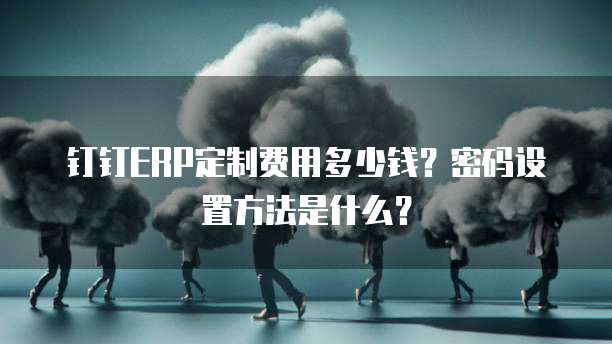 钉钉ERP定制费用多少钱？密码设置方法是什么？
