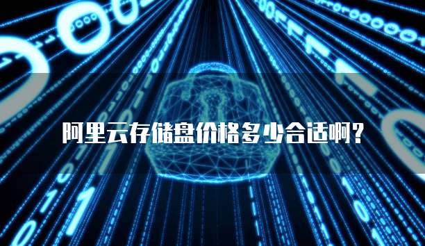 阿里云存储盘价格多少合适啊?