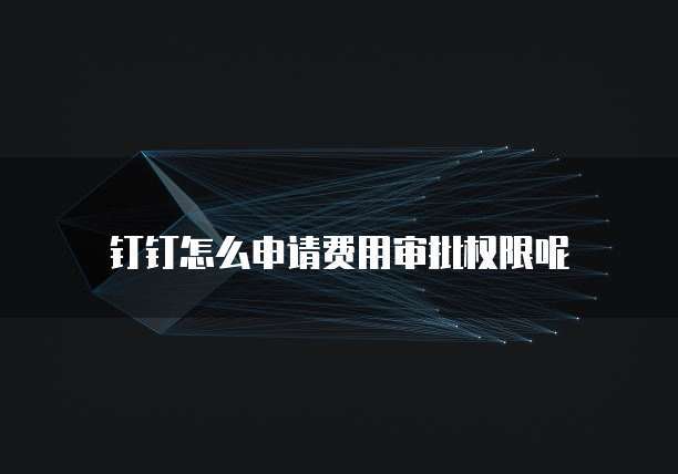 钉钉怎么申请费用审批权限呢