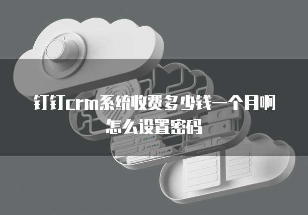 钉钉crm系统收费多少钱一个月啊怎么设置密码