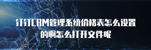 钉钉CRM管理系统价格表怎么设置的啊怎么打开文件呢