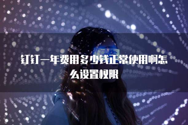 钉钉一年费用多少钱正常使用啊怎么设置权限