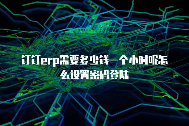 钉钉erp需要多少钱一个小时呢怎么设置密码登陆