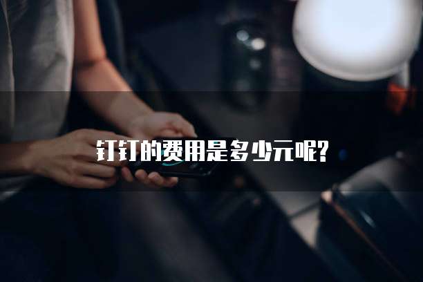钉钉的费用是多少元呢?