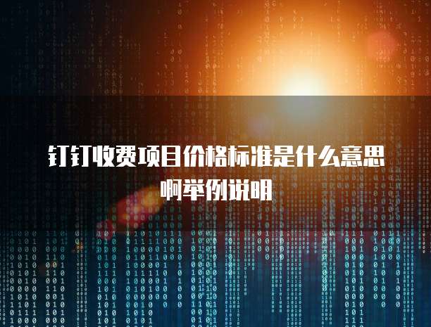 钉钉收费项目价格标准是什么意思啊举例说明