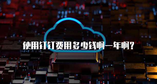 使用钉钉费用多少钱啊一年啊？