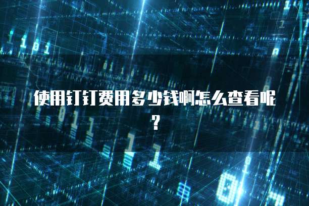 使用钉钉费用多少钱啊怎么查看呢?