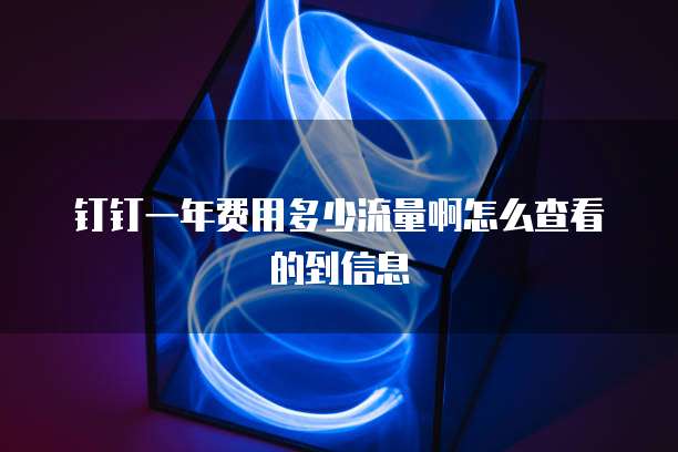 钉钉一年费用多少流量啊怎么查看的到信息