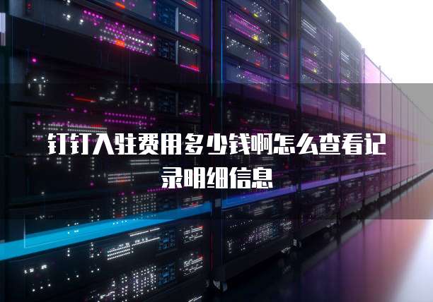 钉钉入驻费用多少钱啊怎么查看记录明细信息