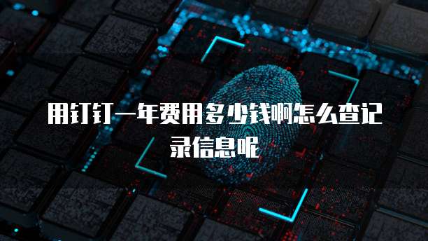 用钉钉一年费用多少钱啊怎么查记录信息呢