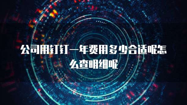 公司用钉钉一年费用多少合适呢怎么查明细呢