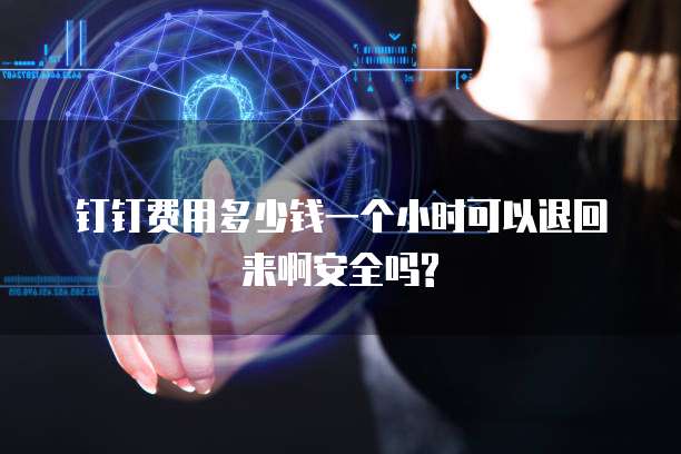 钉钉费用多少钱一个小时可以退回来啊安全吗?
