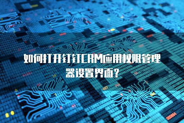  如何打开钉钉CRM应用权限管理器设置界面？