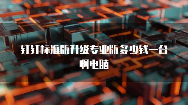 钉钉标准版升级专业版多少钱一台啊电脑