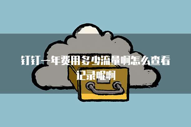 钉钉一年费用多少流量啊怎么查看记录呢啊