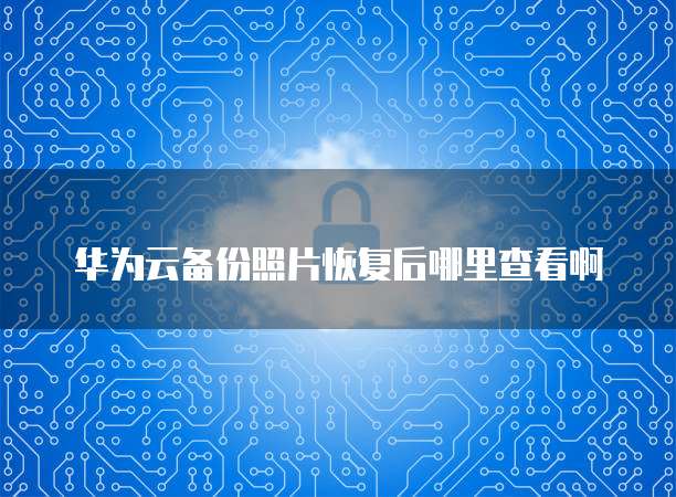 如何查看阿里云注册的域名注册信息