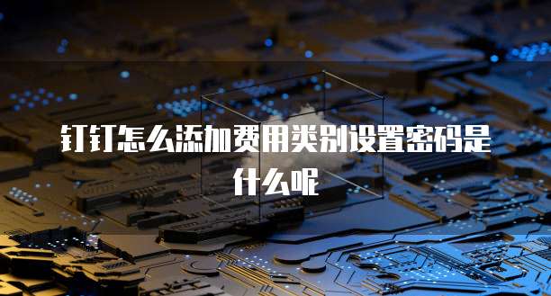钉钉怎么添加费用类别设置密码是什么呢