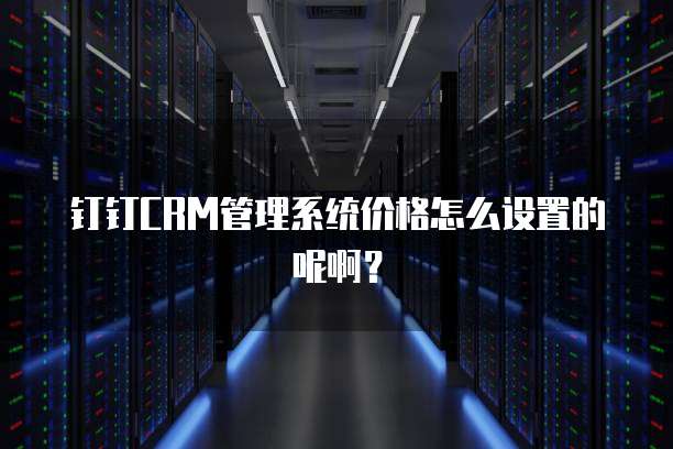 钉钉CRM管理系统价格怎么设置的呢啊?