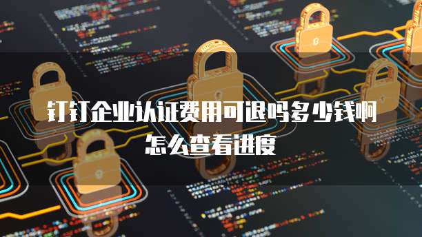 钉钉企业认证费用可退吗多少钱啊怎么查看进度