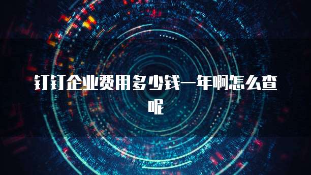 钉钉企业费用多少钱一年啊怎么查呢