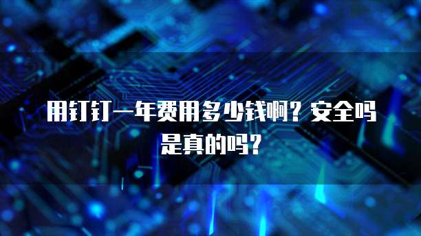 用钉钉一年费用多少钱啊?安全吗是真的吗?