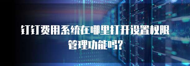 钉钉费用系统在哪里打开设置权限管理功能吗?