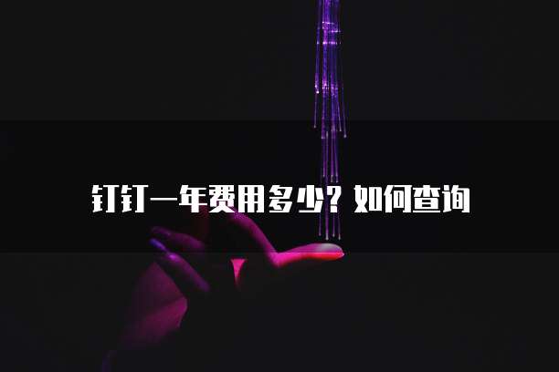 钉钉一年费用多少?如何查询
