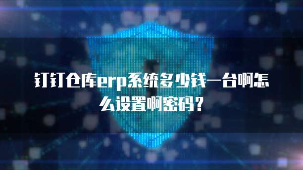 钉钉仓库erp系统多少钱一台啊怎么设置啊密码?
