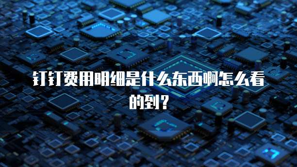钉钉费用明细是什么东西啊怎么看的到?