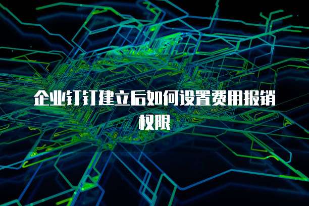 企业钉钉建立后如何设置费用报销权限