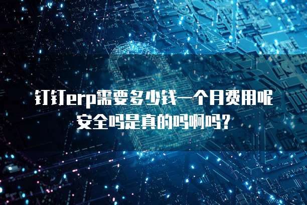 钉钉erp需要多少钱一个月费用呢安全吗是真的吗啊吗?