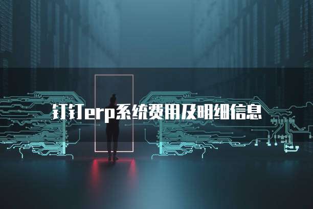 钉钉erp系统费用及明细信息