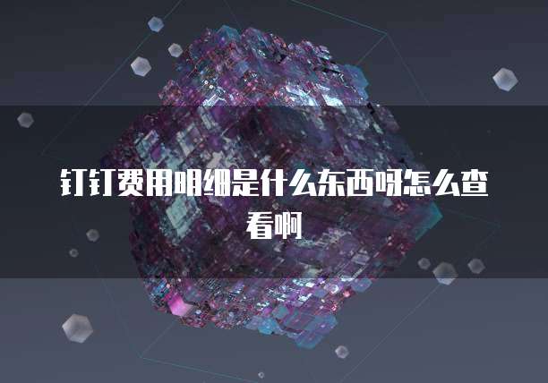 钉钉费用明细是什么东西呀怎么查看啊