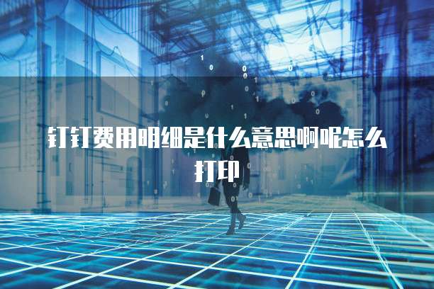 钉钉费用明细是什么意思啊呢怎么打印