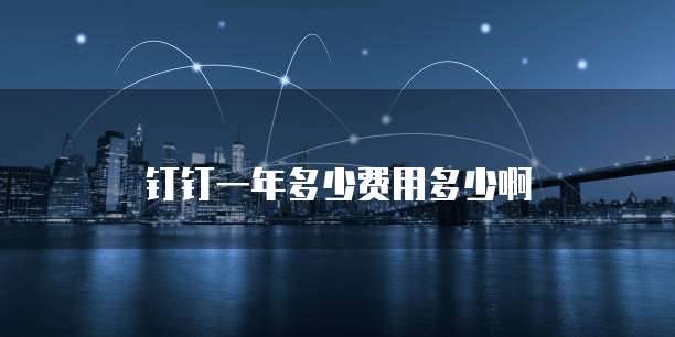 钉钉一年多少费用多少啊