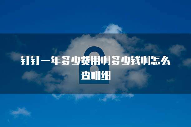 钉钉一年多少费用啊多少钱啊怎么查明细