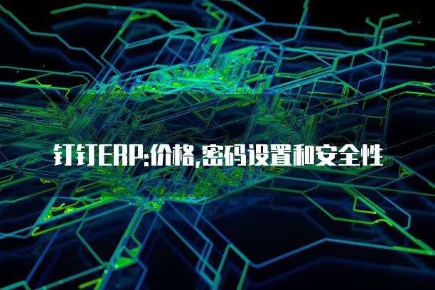 钉钉ERP:价格,密码设置和安全性