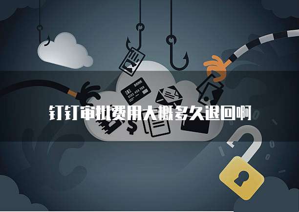 钉钉审批费用大概多久退回啊