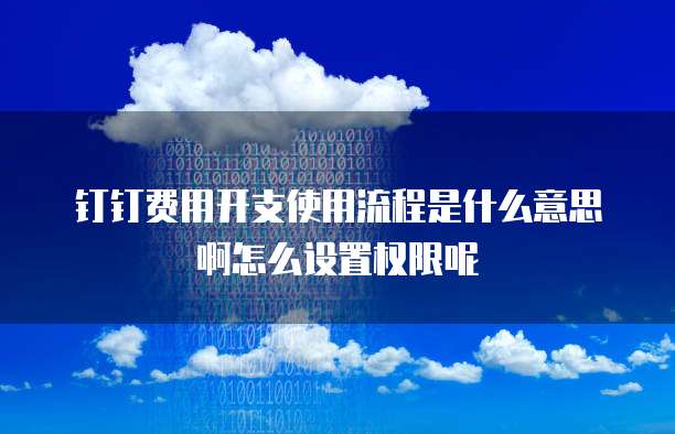 钉钉费用开支使用流程是什么意思啊怎么设置权限呢