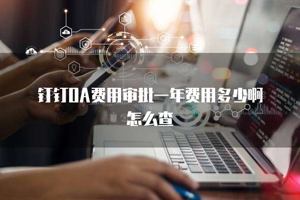 钉钉OA费用审批一年费用多少啊怎么查